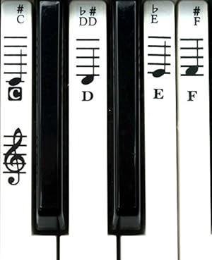 Piano and Keyboard Music Note Stickers